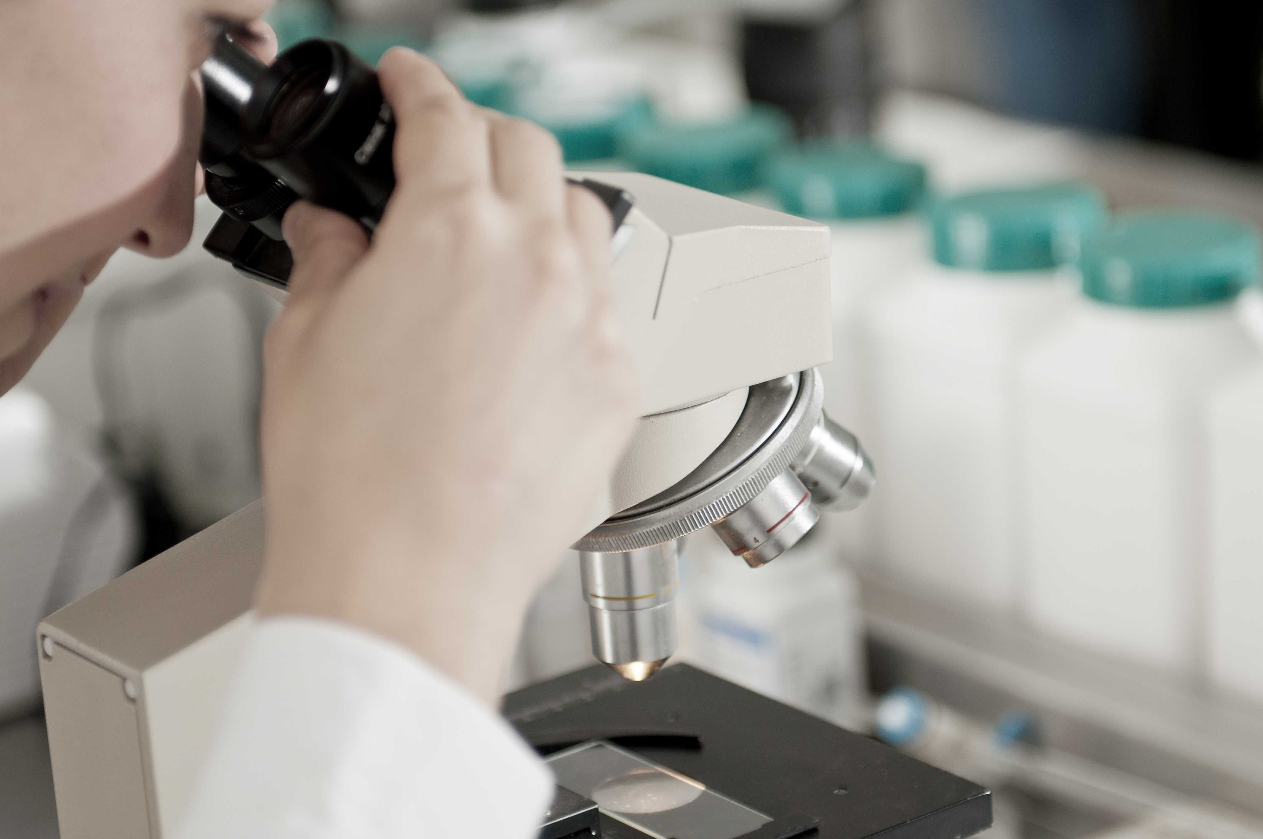 uroanalisis-servicio-laboratorioclinico